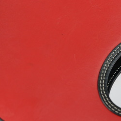 BURBERRY Burberry mini pocket bag handbag leather nylon canvas red black multicolor gold metal fittings check pattern 2WAY shoulder