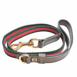 Gucci Dog Collar and Leash 