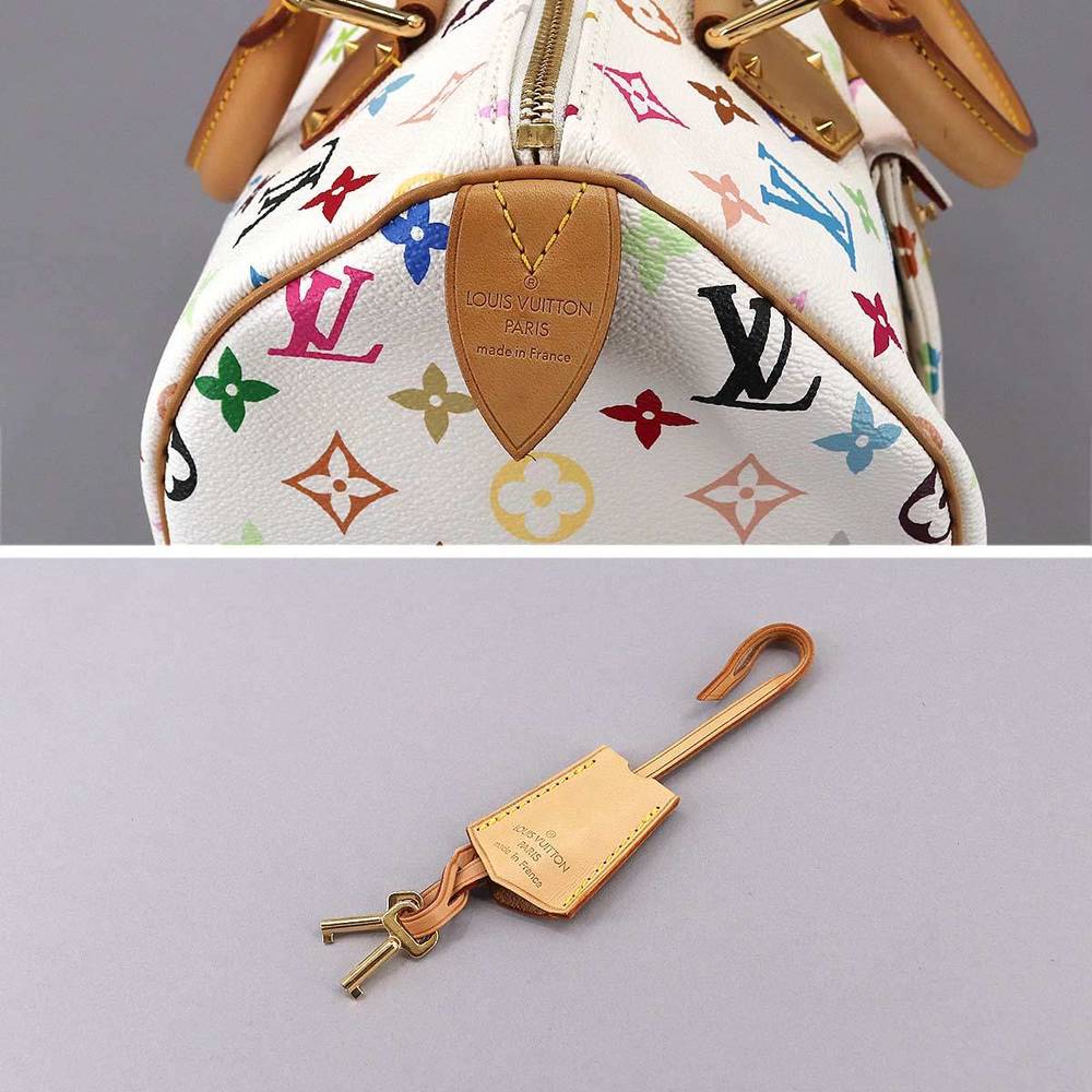 Louis Vuitton - Speedy 30 Multicolor Handbag in France