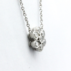 Tiffany Garden Flower Platinum Diamond Men,Women Fashion Pendant (Silver)