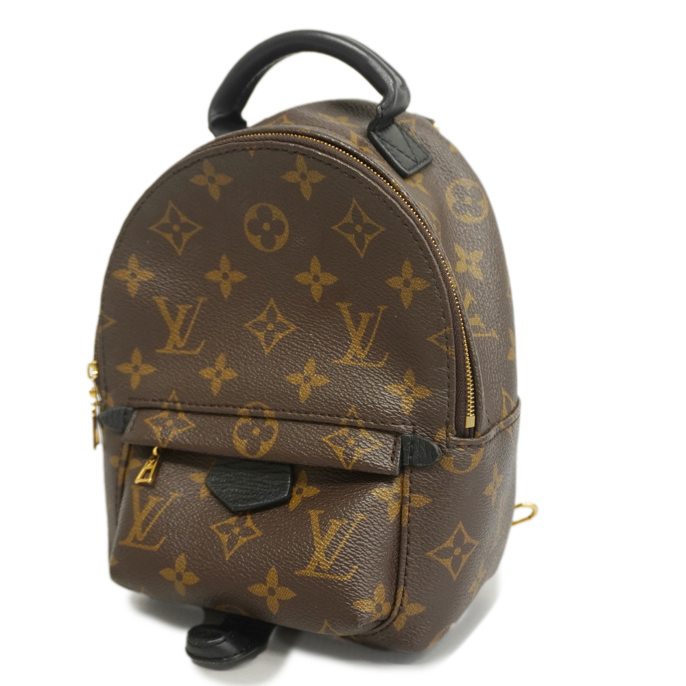 Brown Louis Vuitton Monogram Mini Palm Springs Backpack