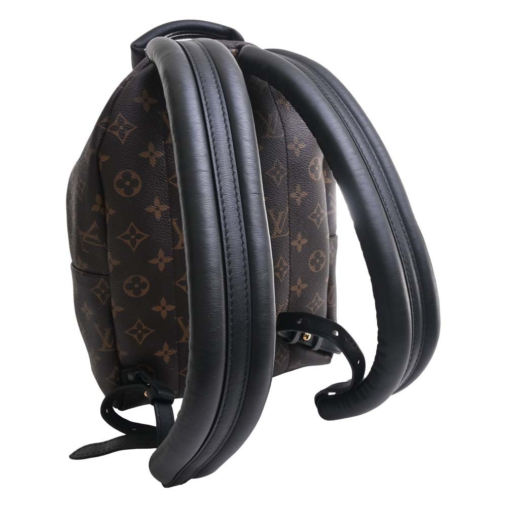 Pre Loved Louis Vuitton Palm Springs PM Backpack - M44871