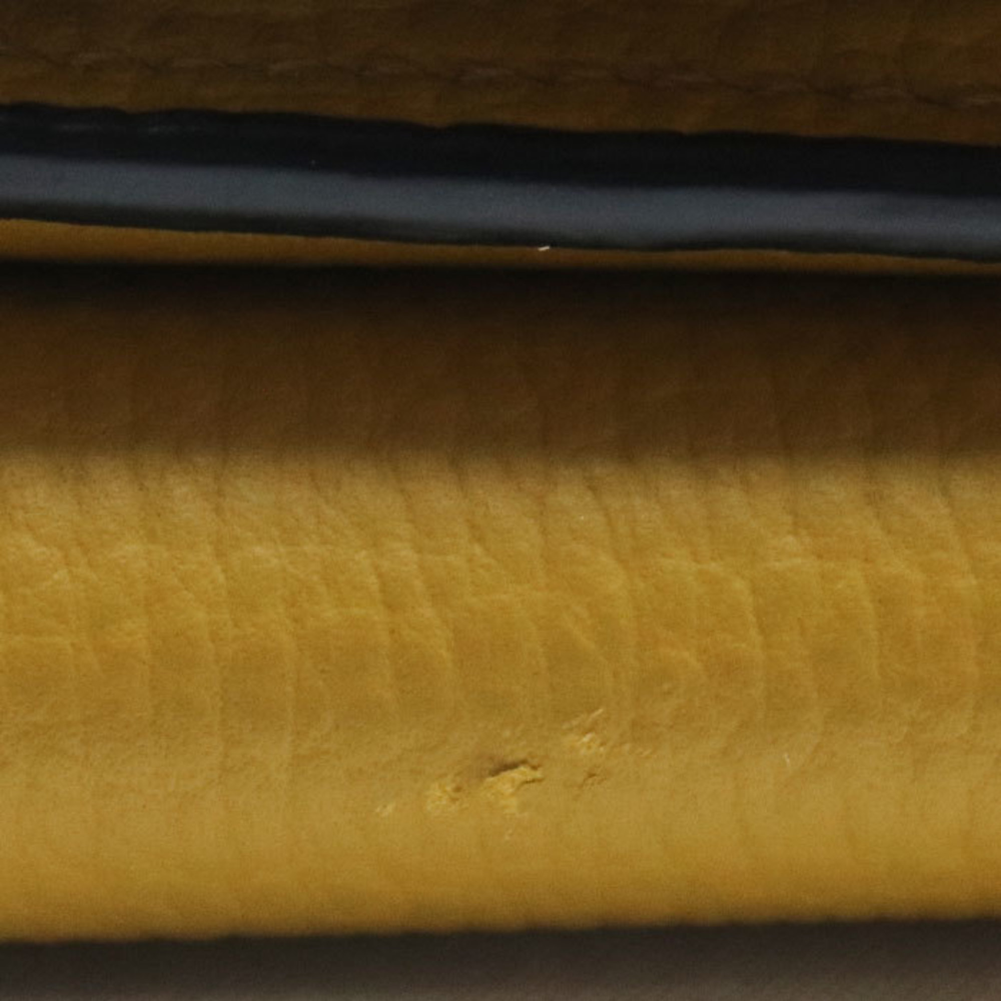 LOEWE Trifold Wallet Anagram Mustard Color C821TR2X02 8110 Women's