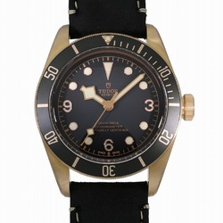 Tudor Black Bay Bronze M79250BA-0001 Slate Gray Men's Watch