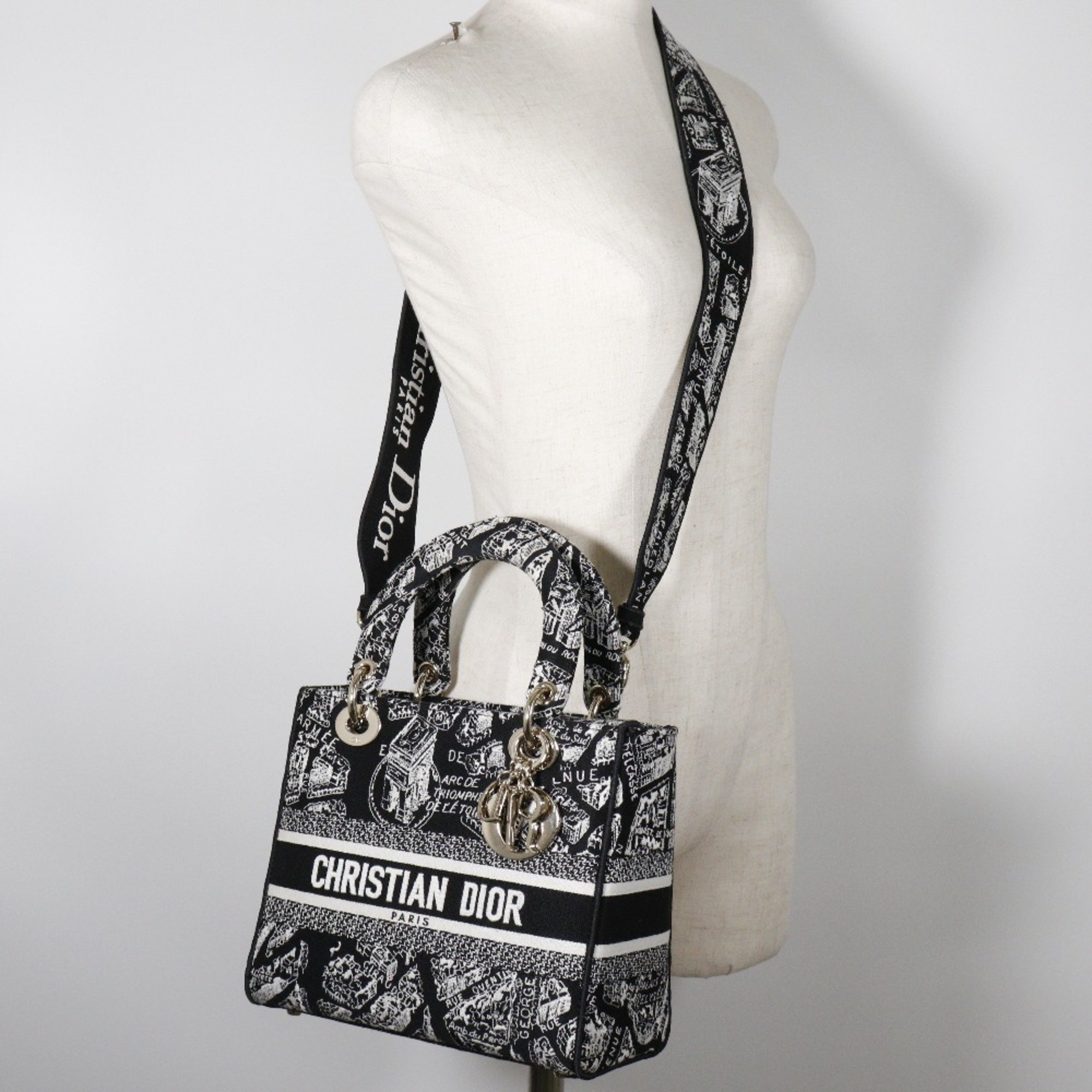 Christian Dior LADY D-LITE Medium Handbag Plan de Paris Embroidery M0565OOMP_M993 Cotton Made in Italy Black