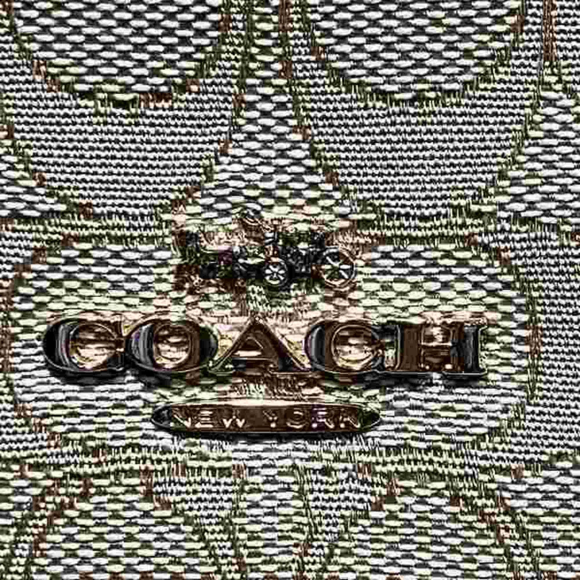 Coach COACH CG977 bag tote ladies
