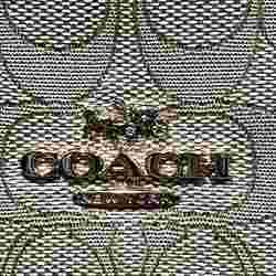 Coach COACH CG977 bag tote ladies
