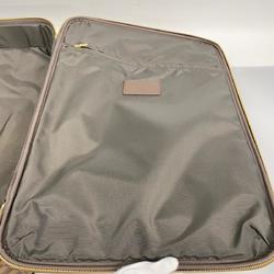 Louis Vuitton Carry Bag Damier Pegasus 50 N23256 Ebene Men's and Women's