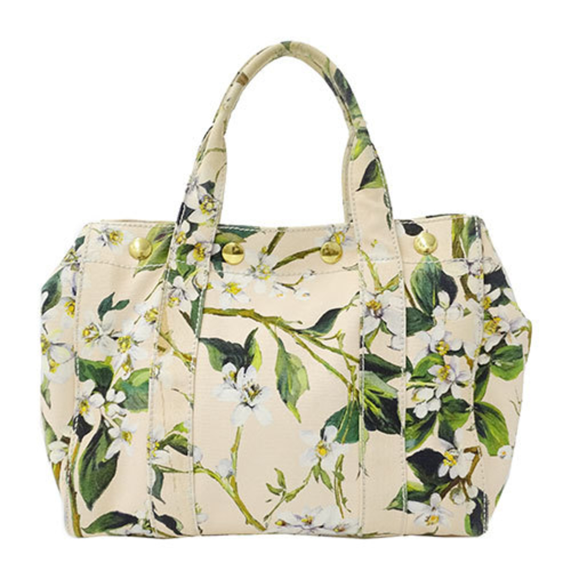 Dolce & Gabbana Women's Handbag Canvas Beige Flower