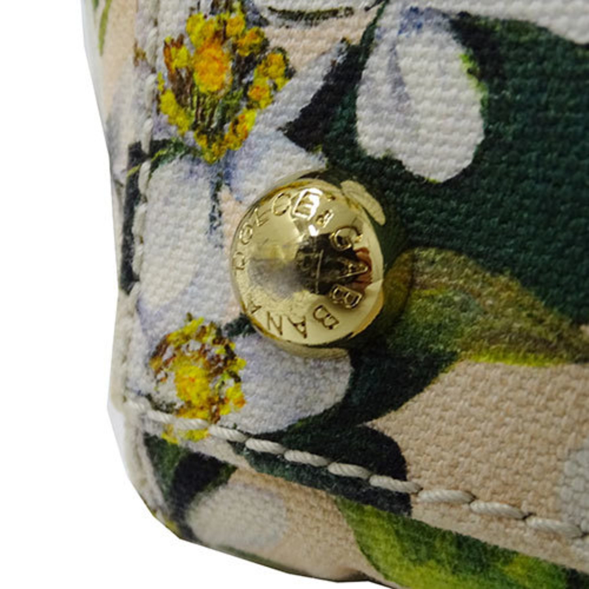 Dolce & Gabbana Women's Handbag Canvas Beige Flower