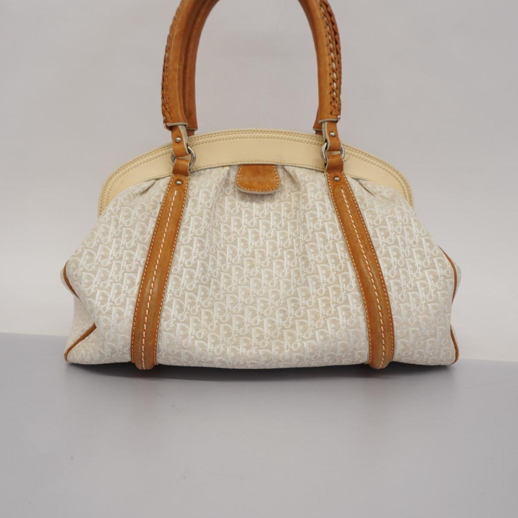 Christian Dior handbag Trotter canvas beige white ladies