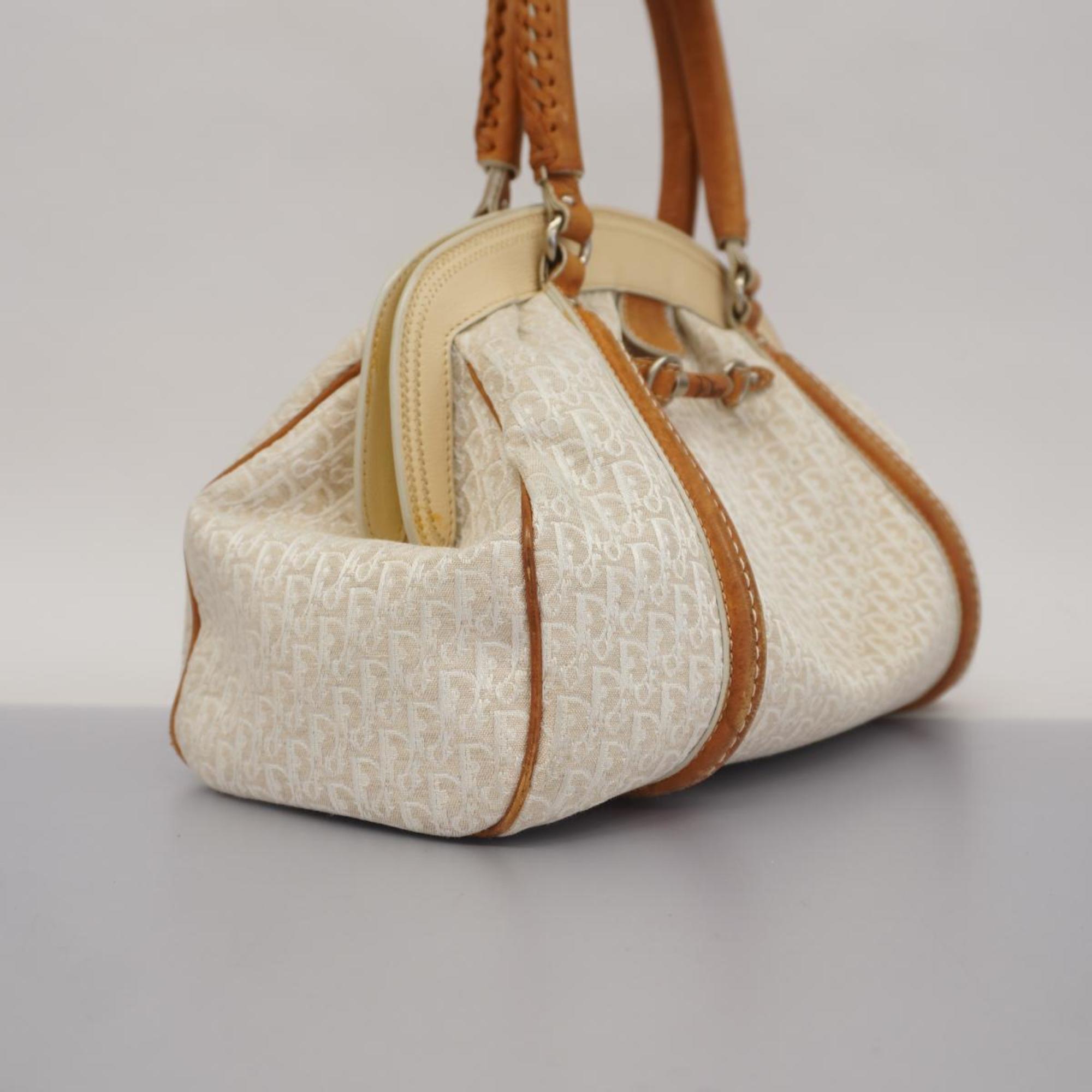Christian Dior handbag Trotter canvas beige white ladies