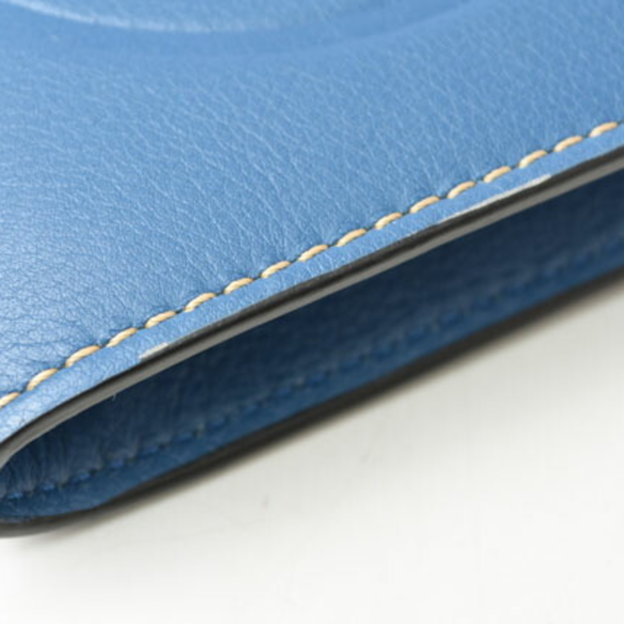 LOEWE Shoulder Bag Pochette Smartphone Case Eye Nature Leather Blue