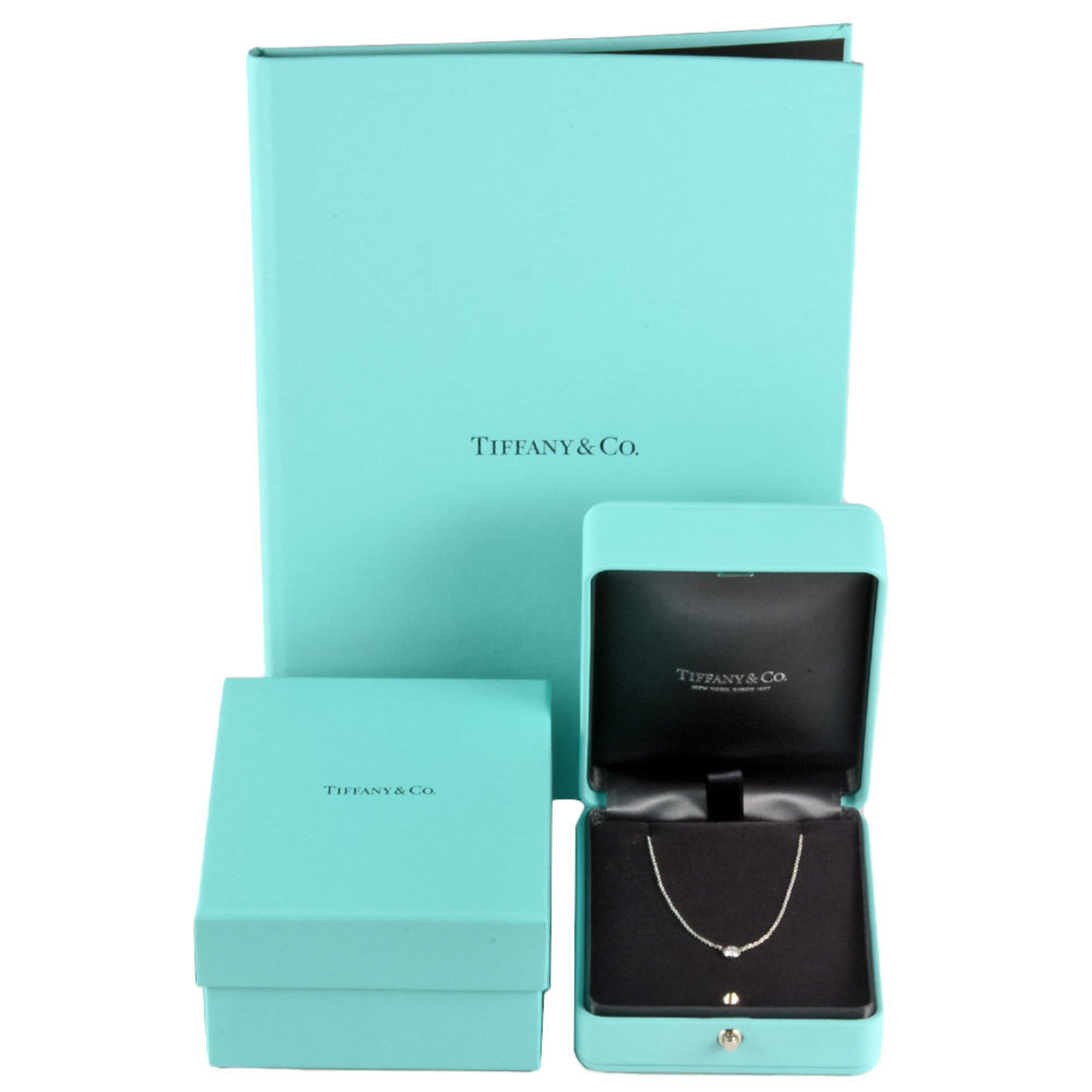 Tiffany & Co. By the Yard Necklace Diamond 0.22ct Pt950 G/VS1/3EX