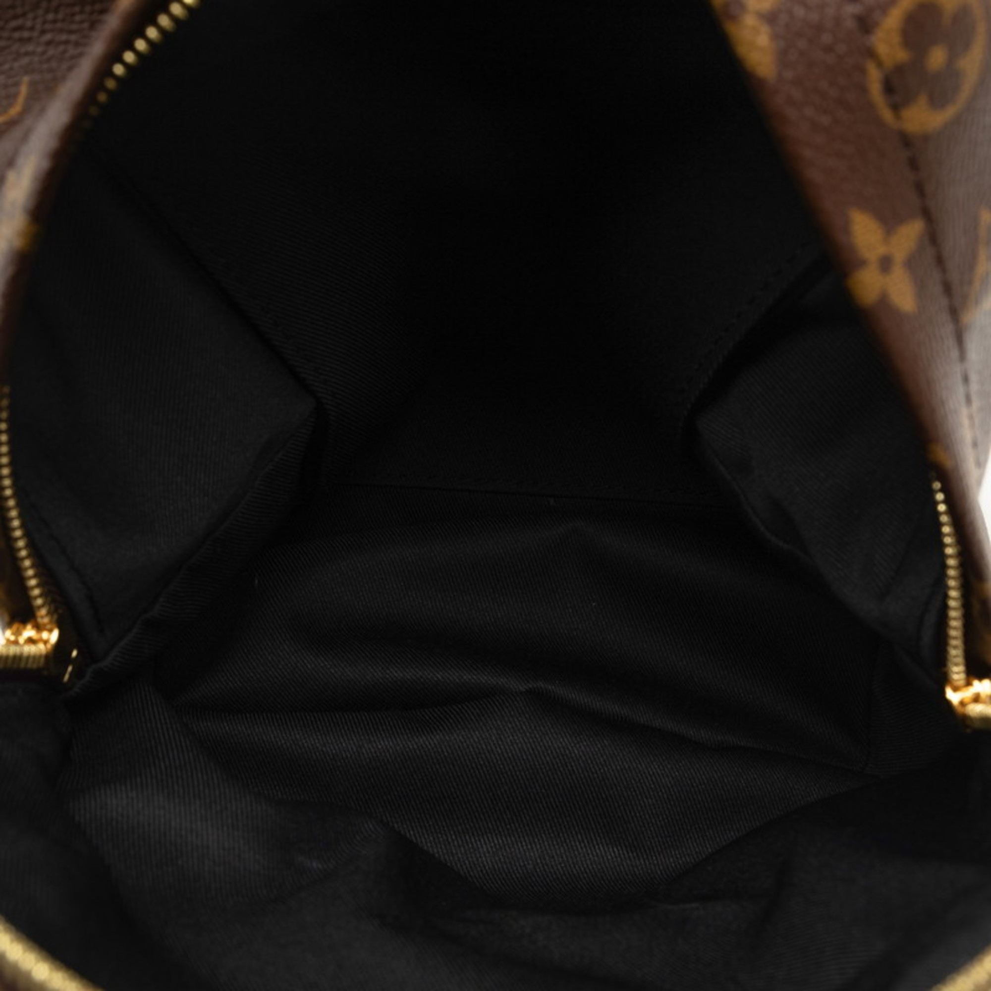 Louis Vuitton Monogram Reverse Palm Springs Backpack PM Rucksack M44870 Brown PVC Leather Women's LOUIS VUITTON
