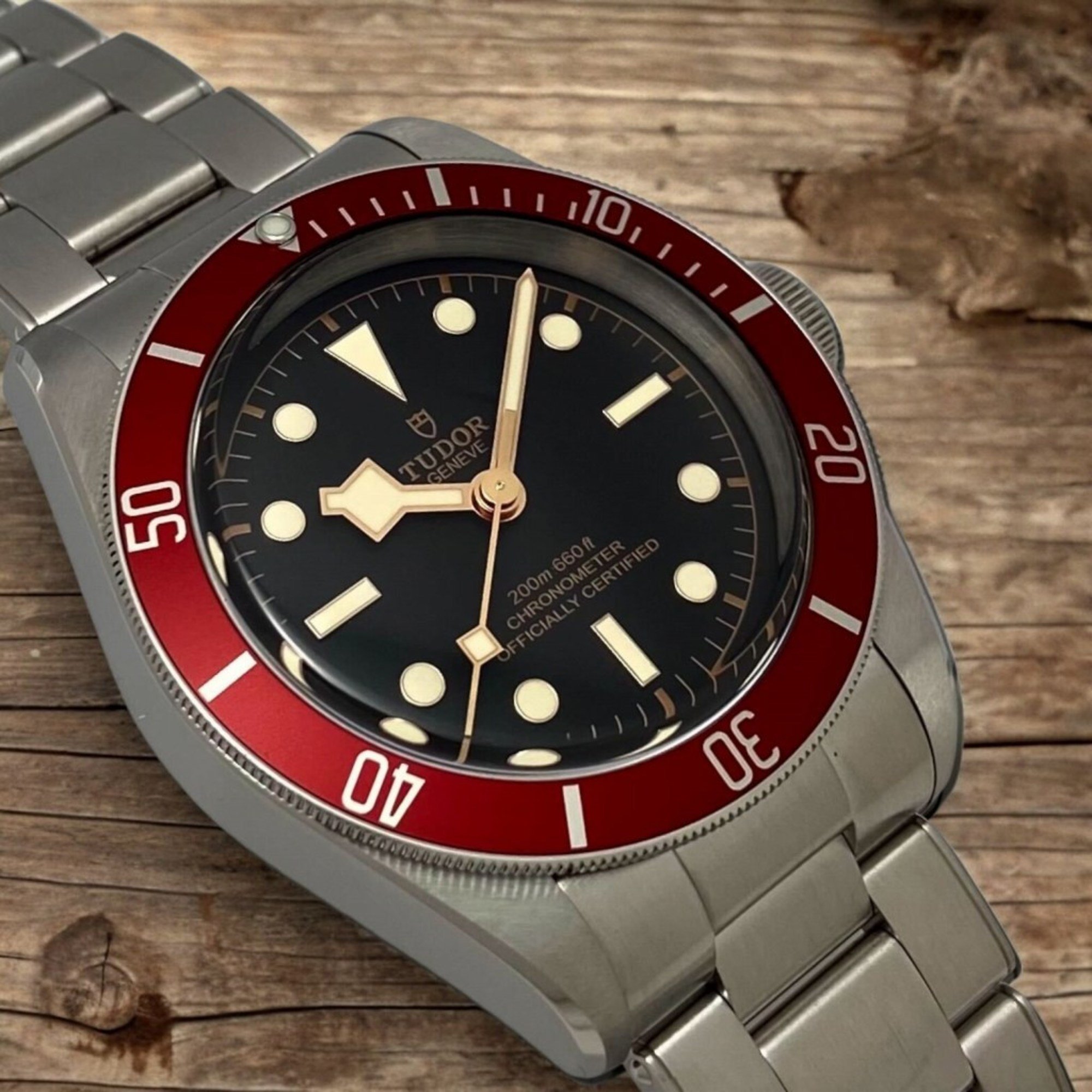 Tudor Black Bay M79230R-0012 Men's Watch