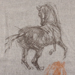 Hermes scarf, galloping pirouette, horse, grey, 100% cashmere, men's, women's, HERMES, winter, Pirouette au Galop, TK2282-r