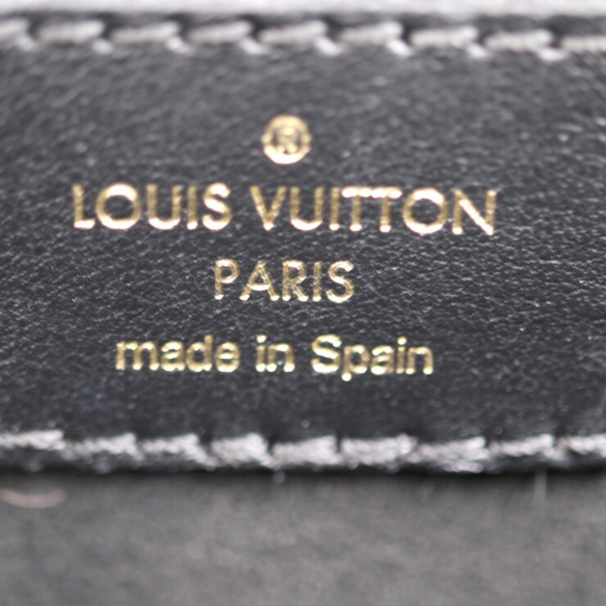 LOUIS VUITTON Louis Vuitton Dauphine NV MM Shoulder Bag M56141 Epi Leather Calfskin Black