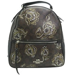 Coach Signature Backpack Women's Rucksack/Daypack F76779 Leather Brown