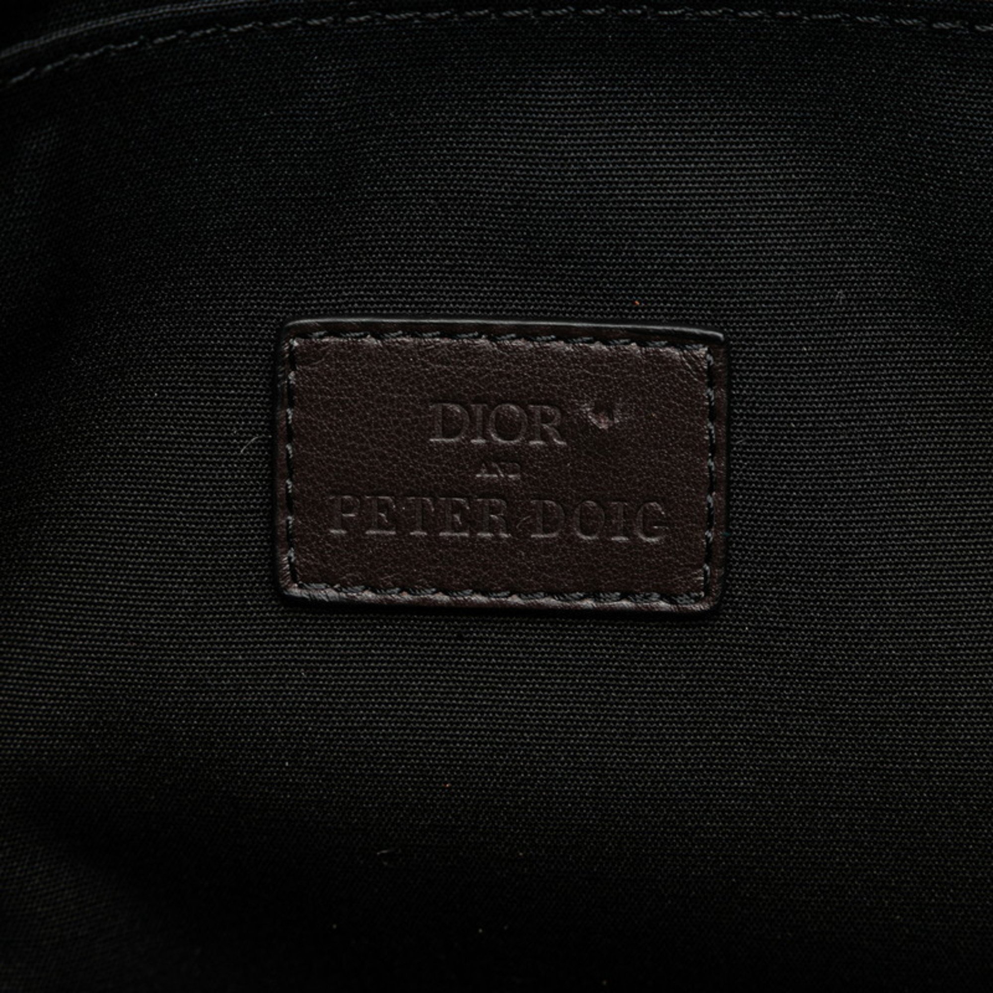 Christian Dior Dior x Peter Doig Saddle Soft Bag Painting Handbag Shoulder Multicolor Canvas Men's