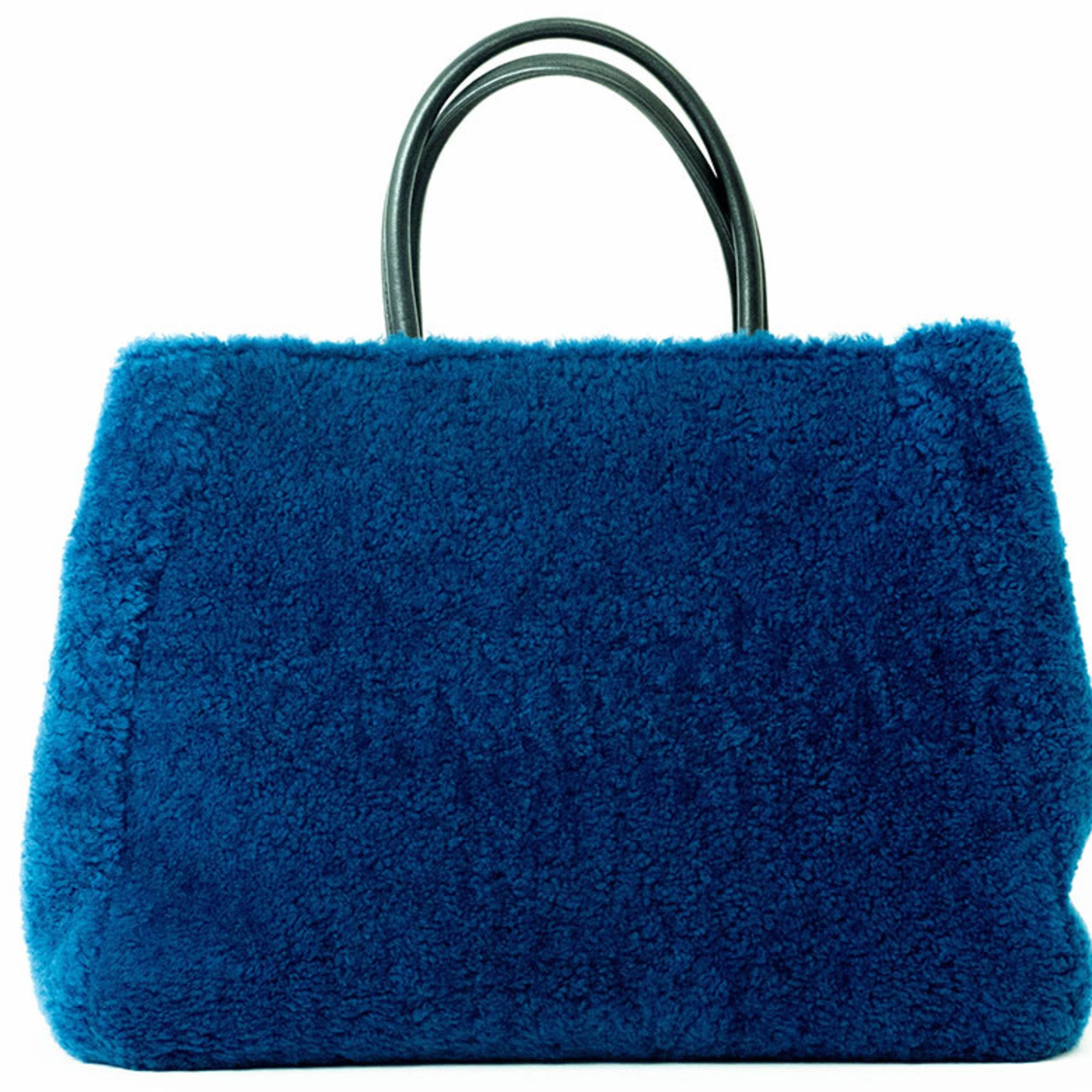 FENDI Twojours Handbag Blue 8BH250 Women's