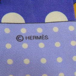 Hermes Twilly Scarf Silk for Women