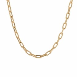 CARTIER Spartacus Chain Unisex K18 Yellow Gold Necklace