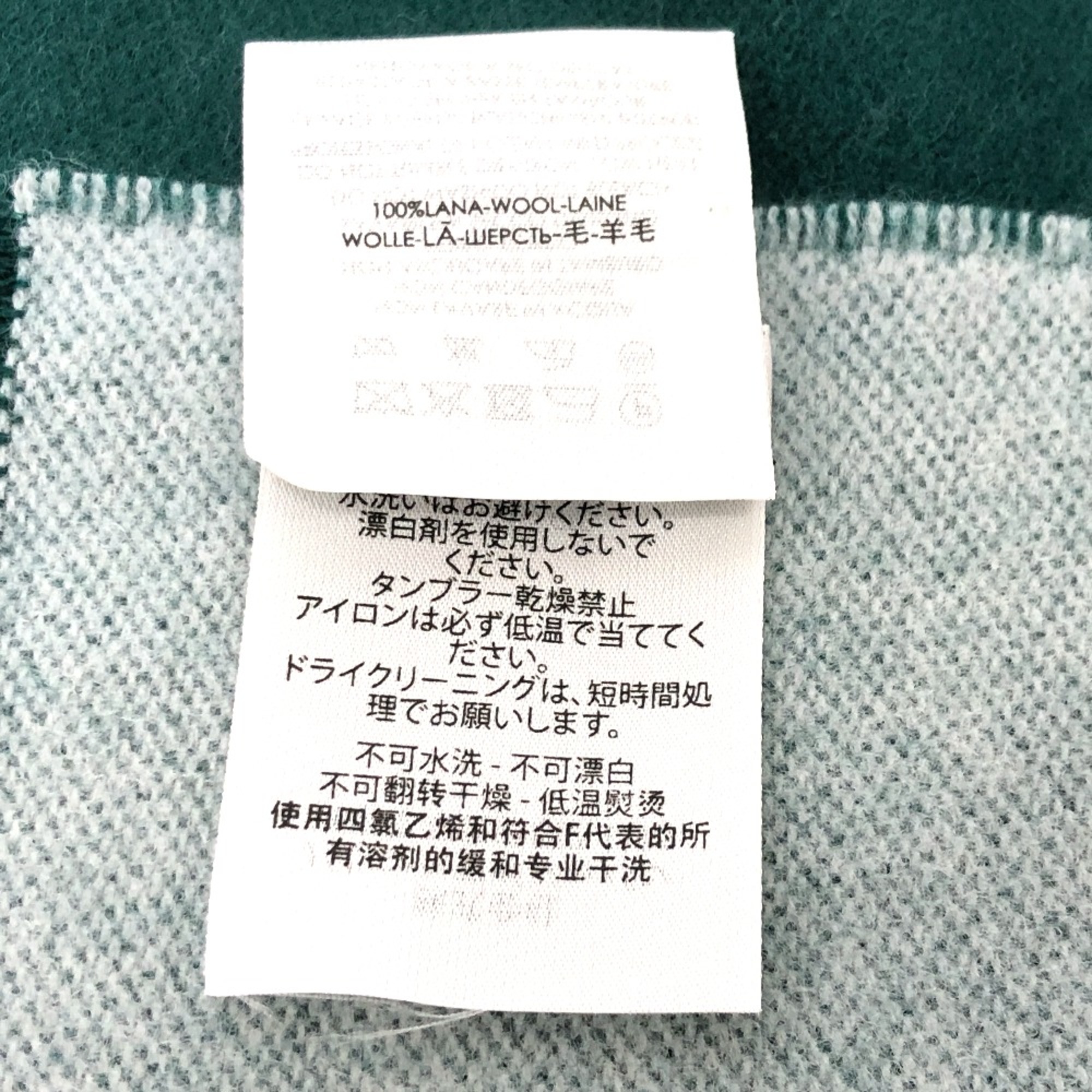 Balenciaga logo Scarf Green White