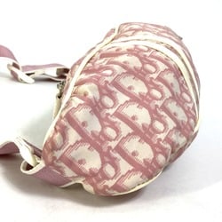 CHRISTIAN DIOR Shoulder Bag waist pouch bag body bag pink White