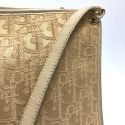 CHRISTIAN DIOR Trotter bag/shoulder Shoulder Bag Beige