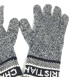 CHRISTIAN DIOR 15DWI754I177 Accessories Gloves gloves Navy White