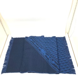 CHRISTIAN DIOR 24E0004A0741 fringe Scarf blue