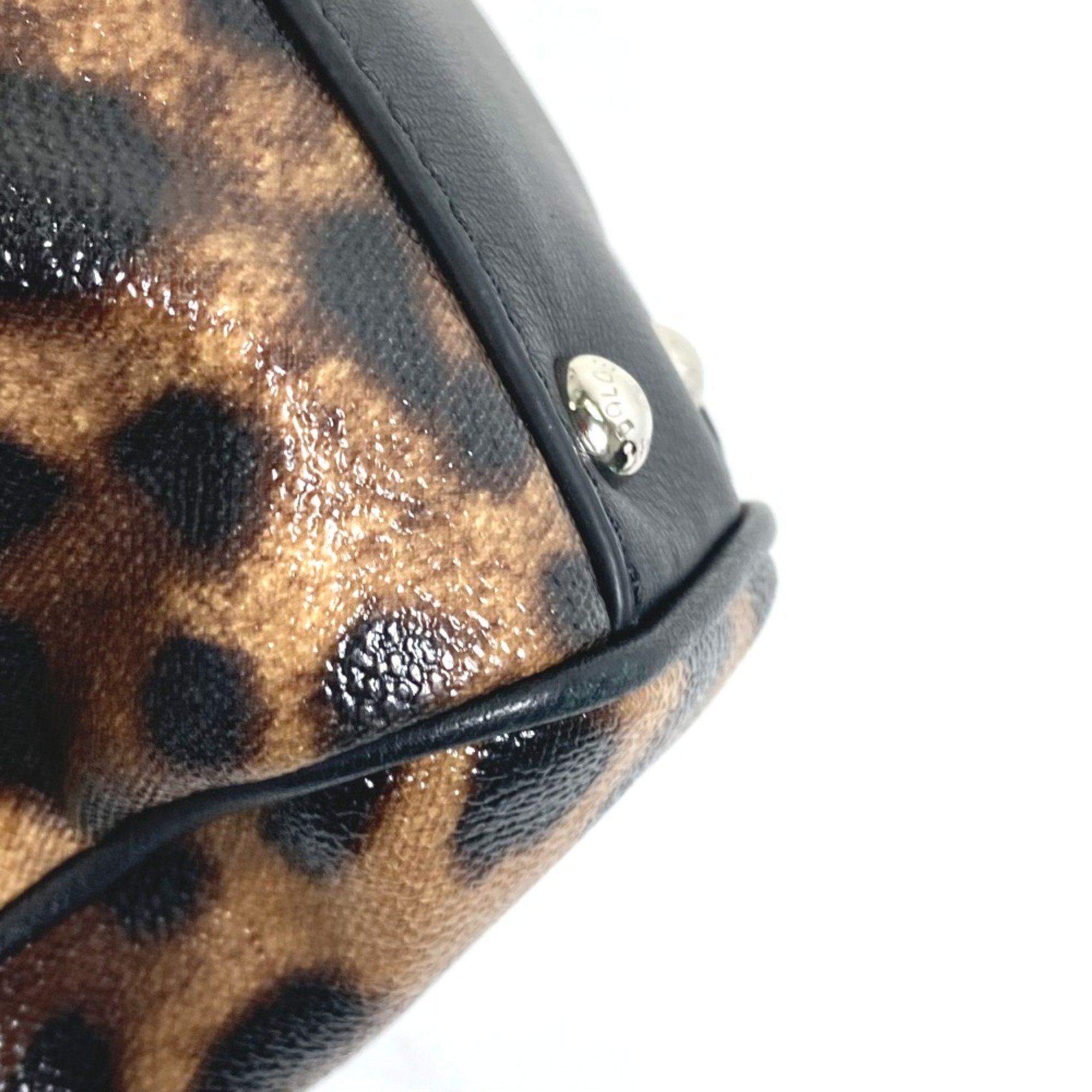 DOLCE&GABBANA Leopard leopard print leopard 2WAY Shoulder Bag Crossbody Hand Bag Brown