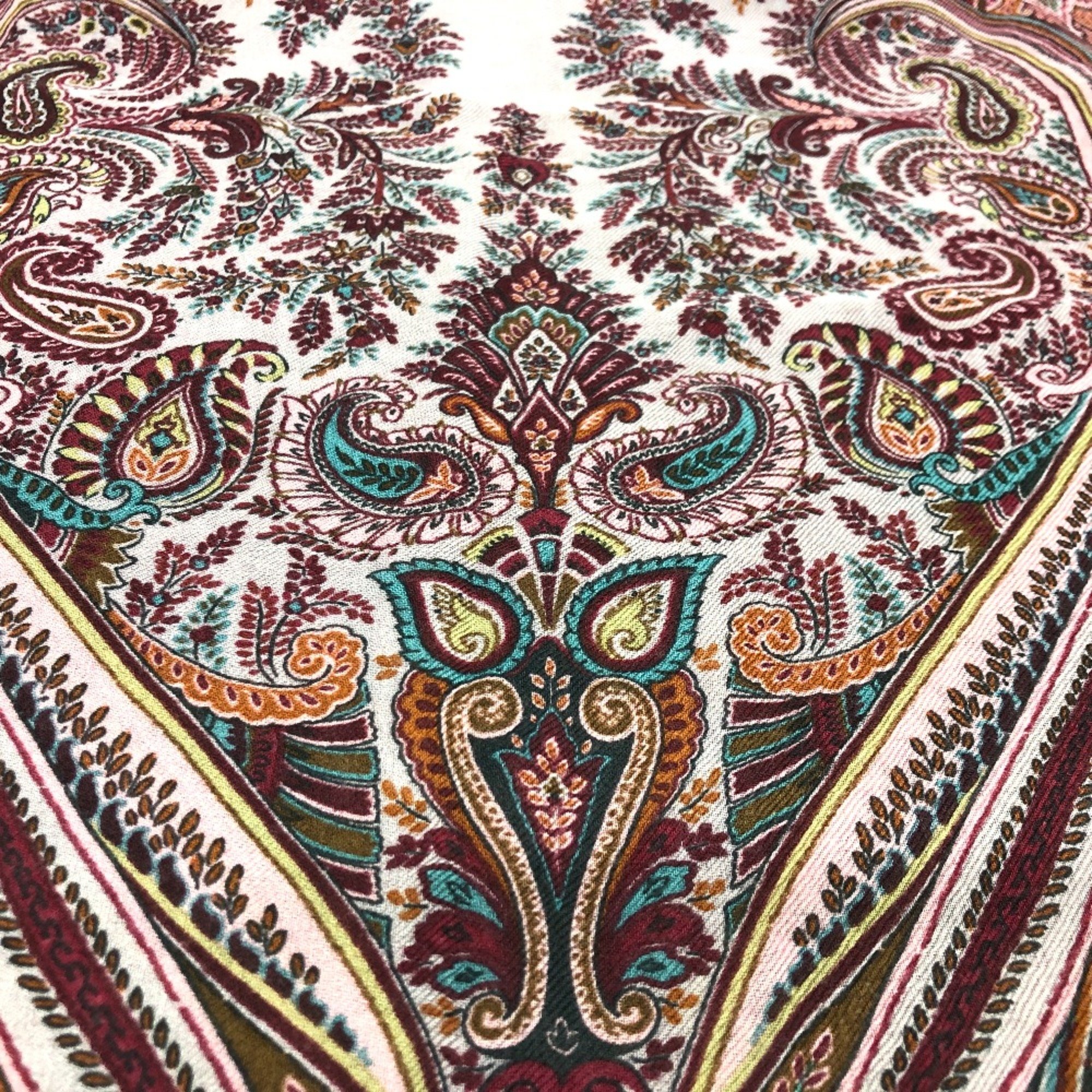 Etro shawl Multicolore