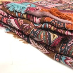 Etro shawl Multicolore