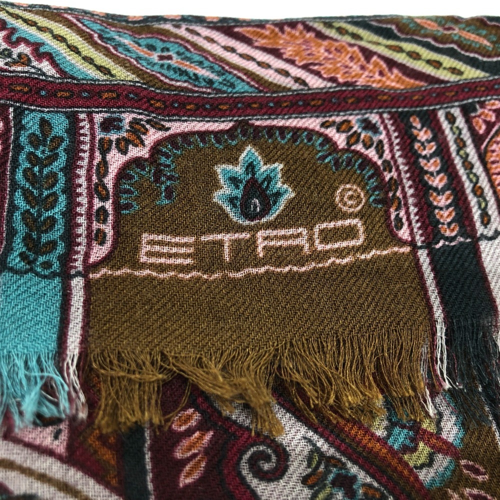 Etro shawl Multicolore