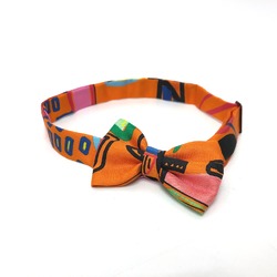 Hermes Butterfly Necktie Ribbon Necktie Multicolore