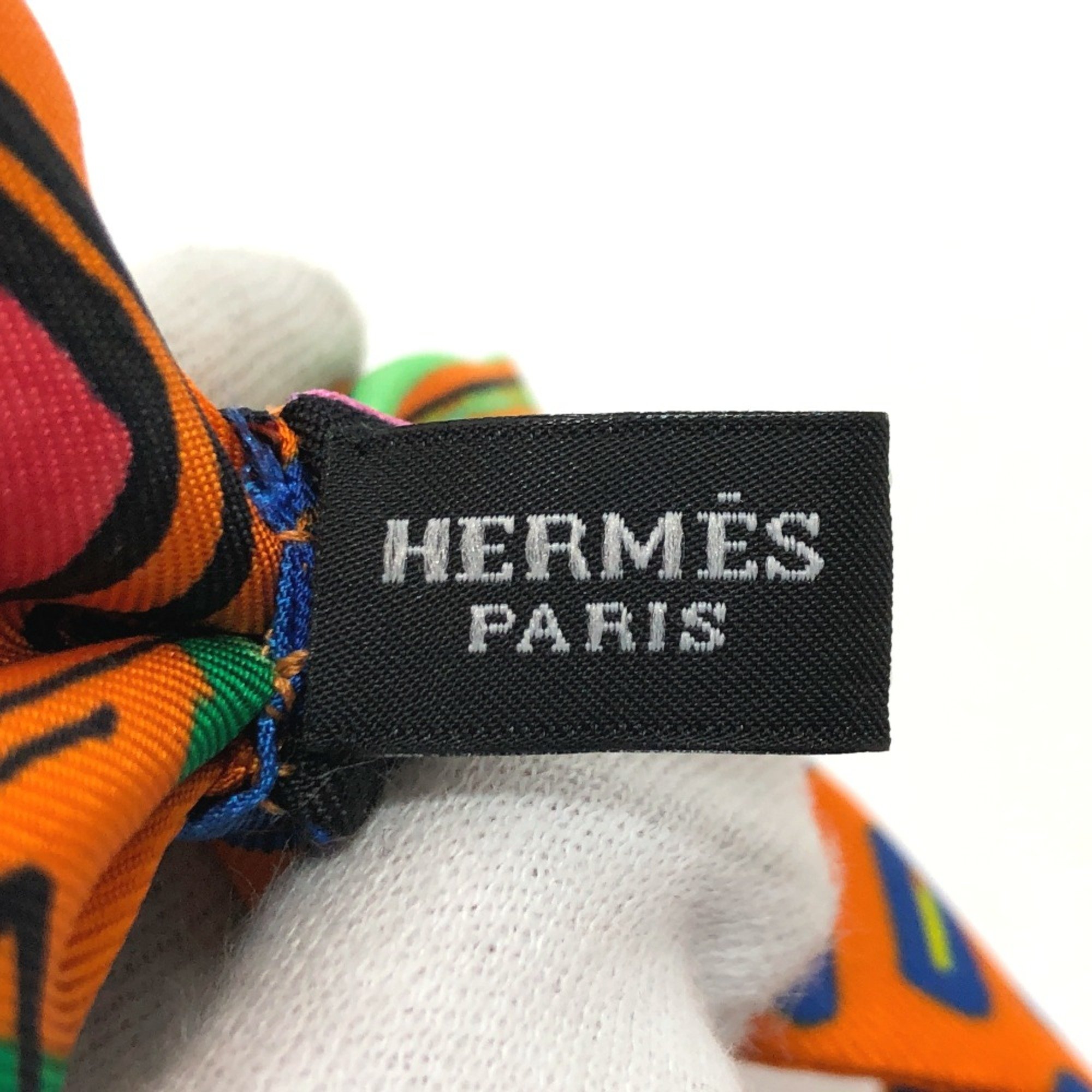 Hermes Butterfly Necktie Ribbon Necktie Multicolore