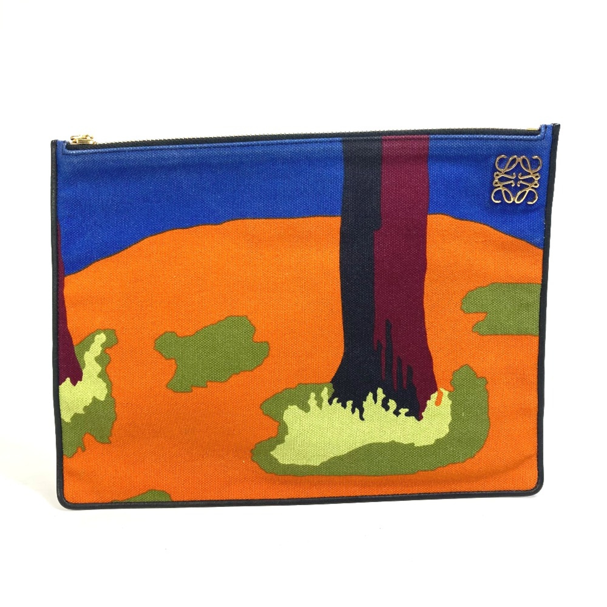 Loewe bag pouch T pouch Clutch bag Multicolore