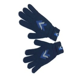 Louis Vuitton M70305 gloves Glove Navy