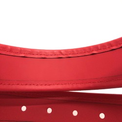 Louis Vuitton M9122 Damier Infini Fashion Accessories belt Red SilverHardware