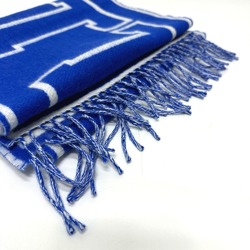 Louis Vuitton M71318 Scarf blue