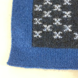 Louis Vuitton M76262 Scarf blue