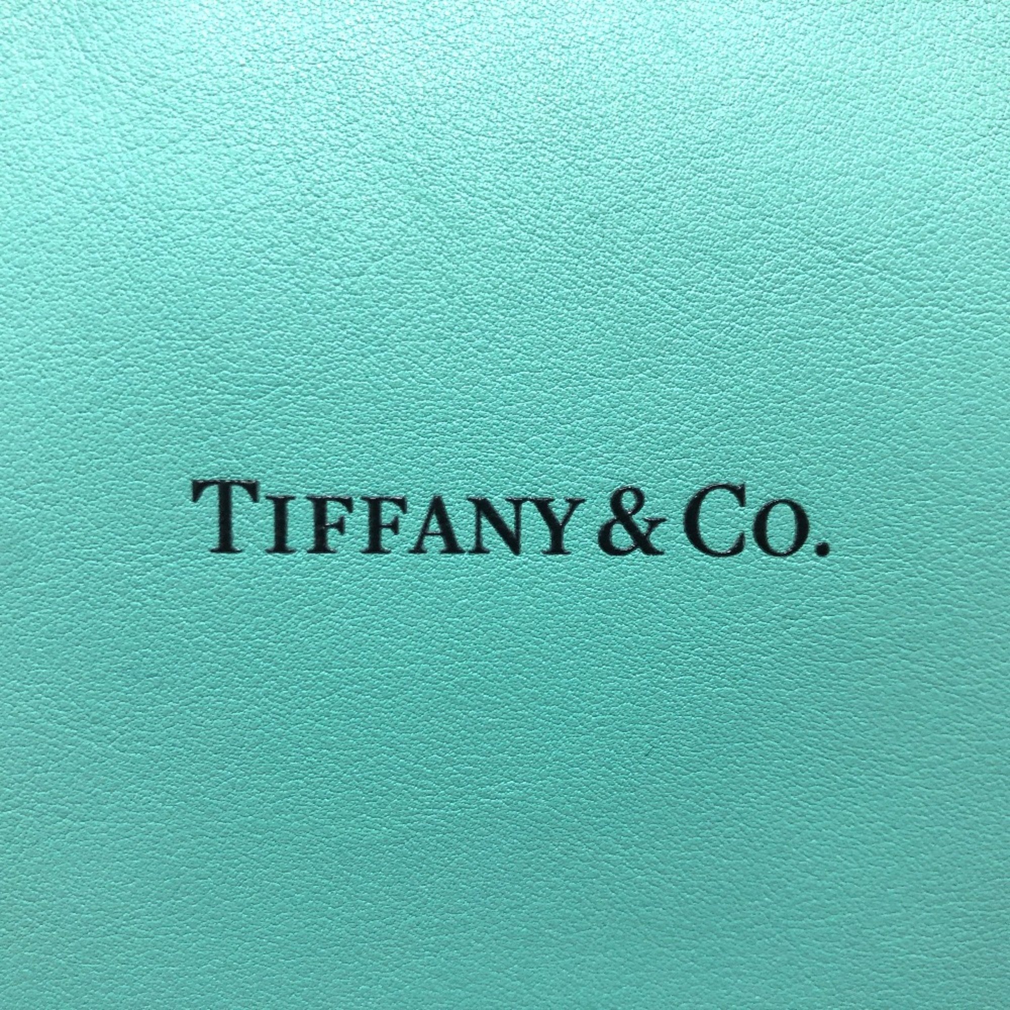 TIFFANY&Co. Cat street 2WAY Hand Bag Shoulder Bag blue SilverHardware