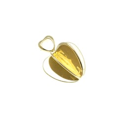 Cartier Golden Apple Yellow Gold (18K) No Stone Men,Women Fashion Pendant Necklace (Gold)