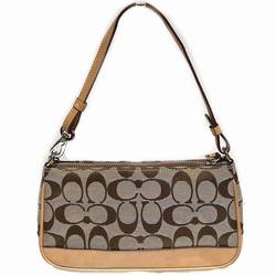 COACH Signature Demi Pouch 6094 Bags Handbags Women's