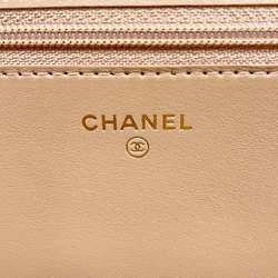 Chanel Chain Wallet Boy Soft Caviar Skin AP3558 CHANEL