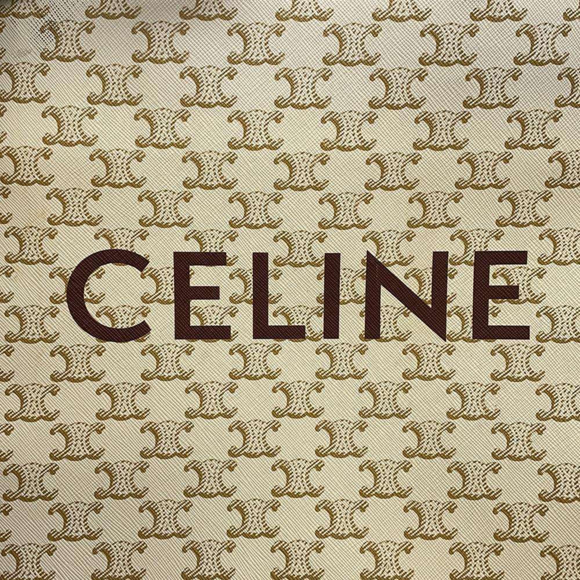 Celine Tote Bag Vertical Cabas Small Leather 191542BZK CELINE 2way Shoulder