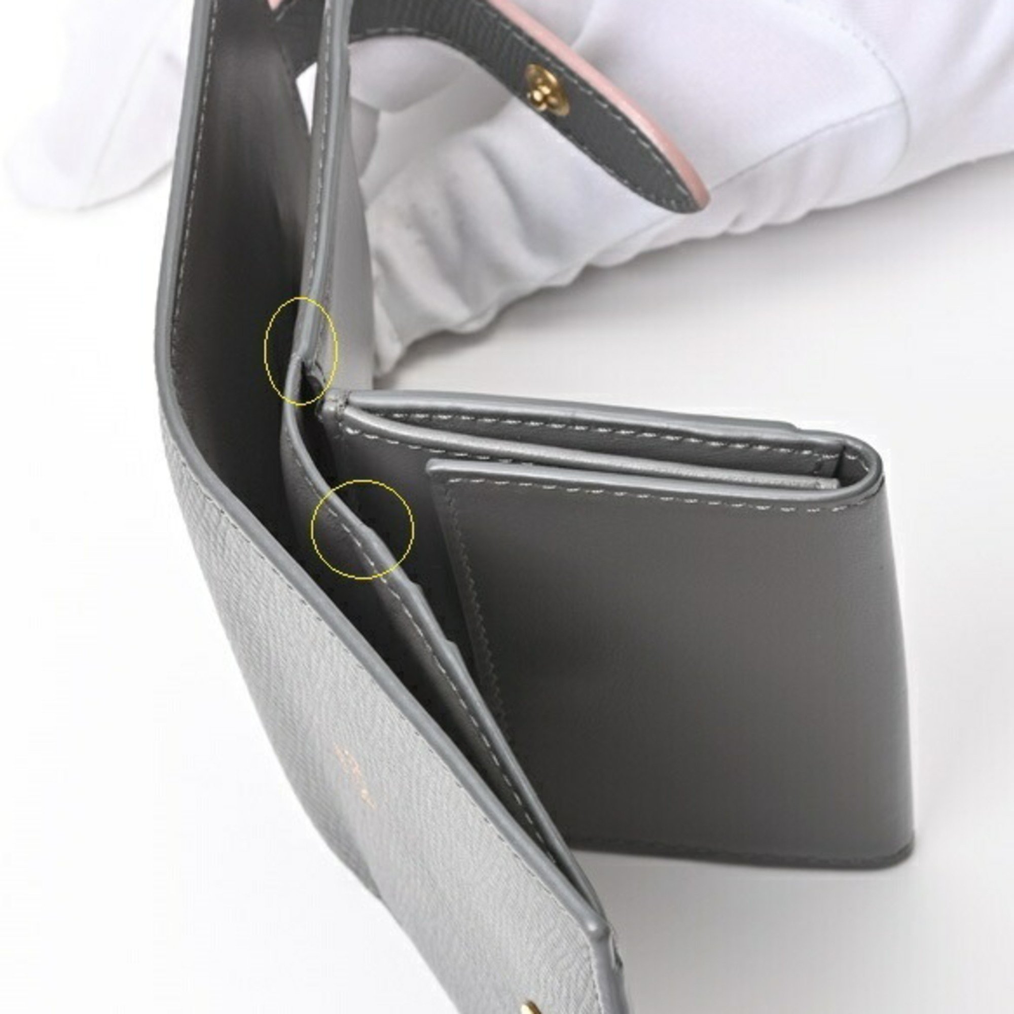 CELINE Small Strap Wallet Essential 10H263BRU.10GV Gray/Pink S-156157