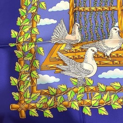 Hermes Carre 90 Birdcage Accessory Scarf Women's